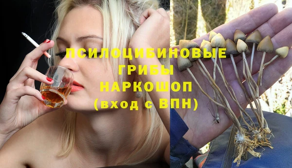 дживик Абинск