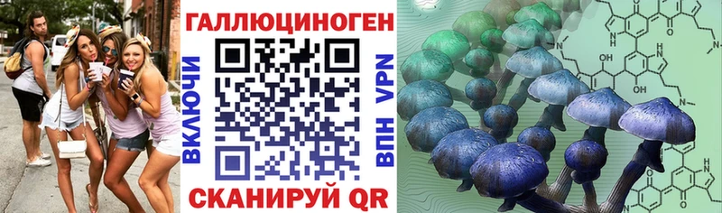 Галлюциногенные грибы Psilocybine cubensis  kraken как зайти  Сальск 